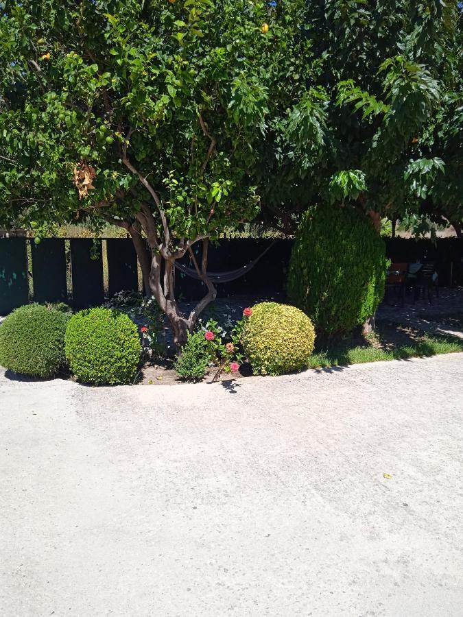 דירות פיניקונטה Katerina House מראה חיצוני תמונה