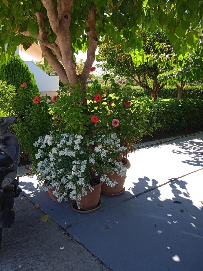 דירות פיניקונטה Katerina House מראה חיצוני תמונה