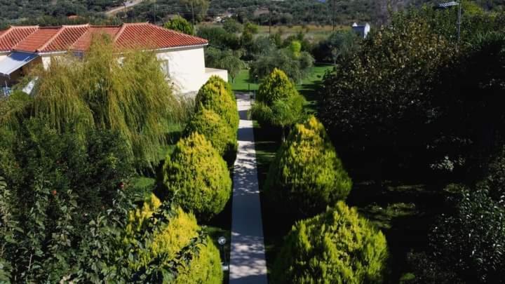 דירות פיניקונטה Katerina House מראה חיצוני תמונה