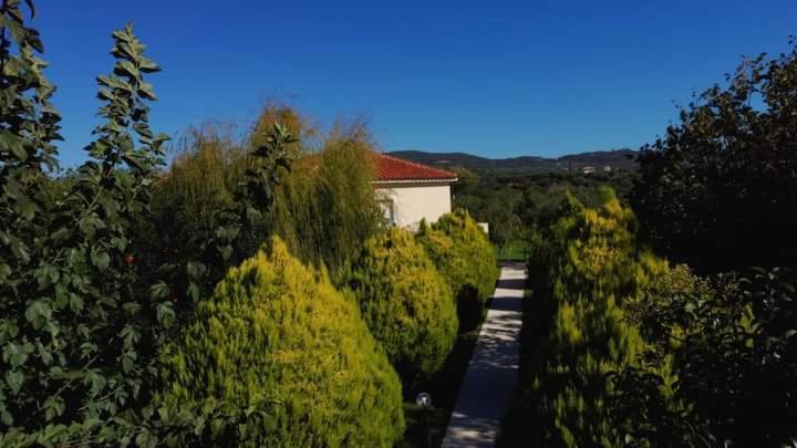 דירות פיניקונטה Katerina House מראה חיצוני תמונה